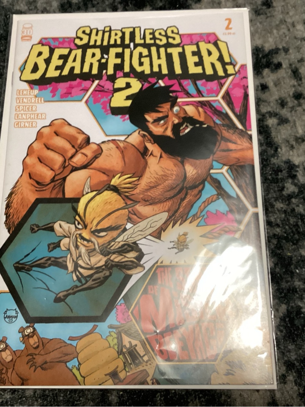 Shirtless Bear-Fighter! #2 Comic Book - Multicolor Cover
